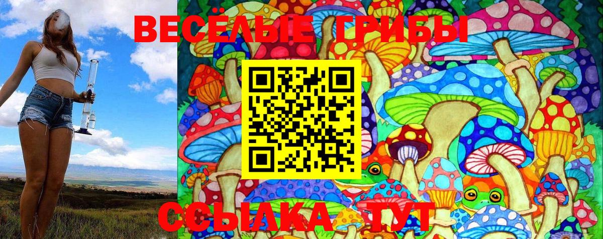 Галлюциногенные грибы Psilocybe  Вход с VPN  Псилоцибиновые грибы GOLDEN TEACHER  Жуковский 